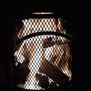 Meet your Posher, Worden